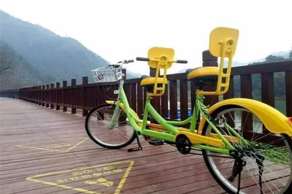 自行车哪些品牌好？中国十大自行车排行榜